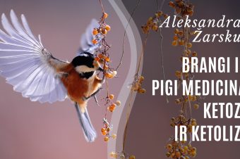 Brangi ir pigi medicina. Ketozė ir ketolizė