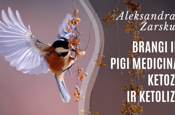 Brangi ir pigi medicina. Ketozė ir ketolizė