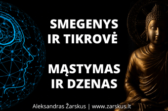 Smegenys ir tikrovė. Mąstymas ir dzenas