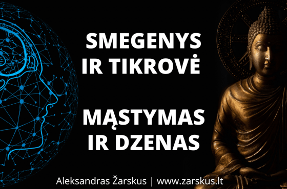 Smegenys ir tikrovė. Mąstymas ir dzenas