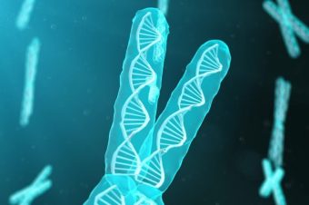 Banginė-lingvistinė genetika. Genetinės manipuliacijos – Aleksandras Žarskus 2022.02.10