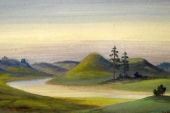 Gyvybė ir gyvenimas