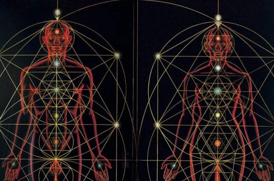 Savęs ieškojimas – Lytiškumas, anima, animus