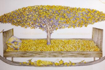 Sąmonės perkėlimas